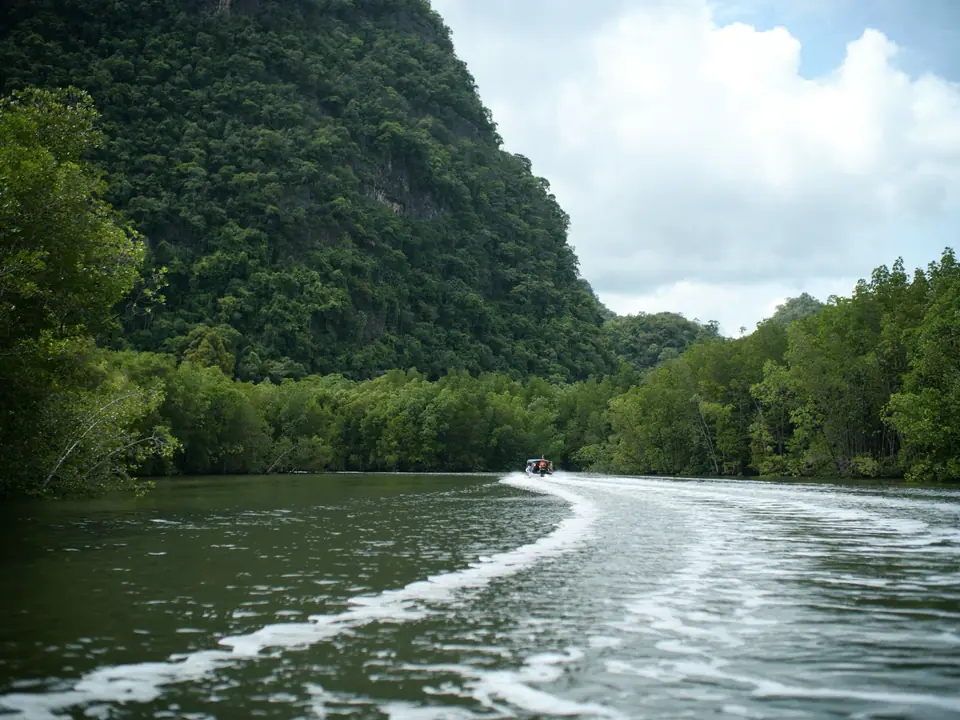 Experience a tranquil river cruise through Langkawi's lush forests with stunning natural scenery