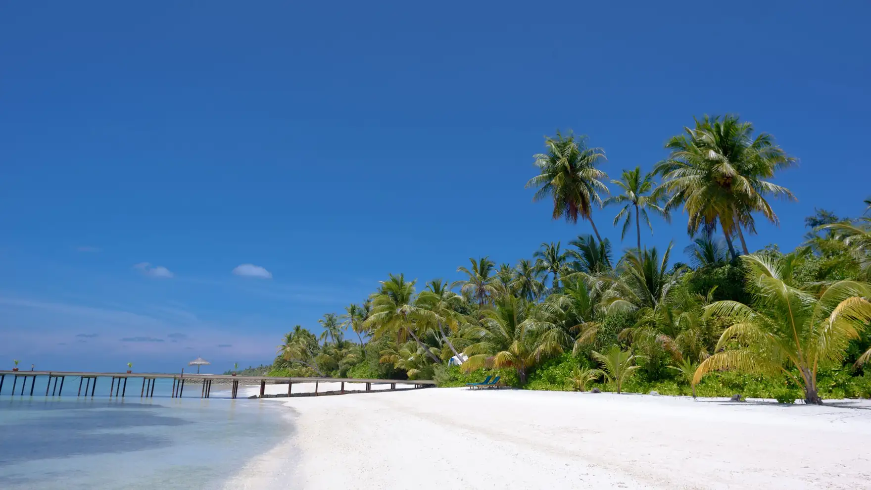 Serene white sandy beach with palm trees and clear blue ocean in the Maldives