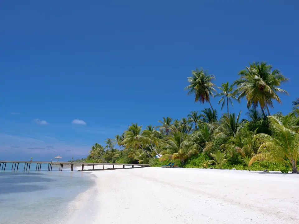 Serene white sandy beach with palm trees and clear blue ocean in the Maldives