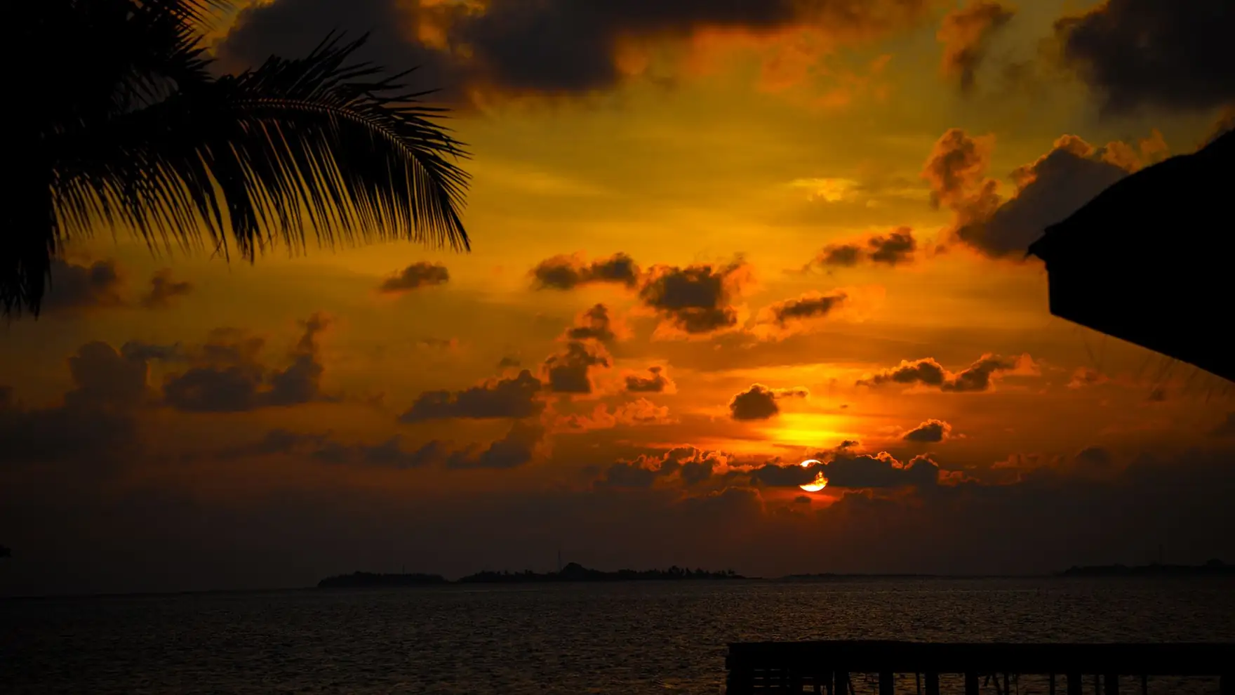 Breathtaking sunset over the Maldives sea with vibrant colors and palm silhouettes