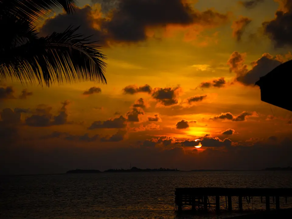 Breathtaking sunset over the Maldives sea with vibrant colors and palm silhouettes