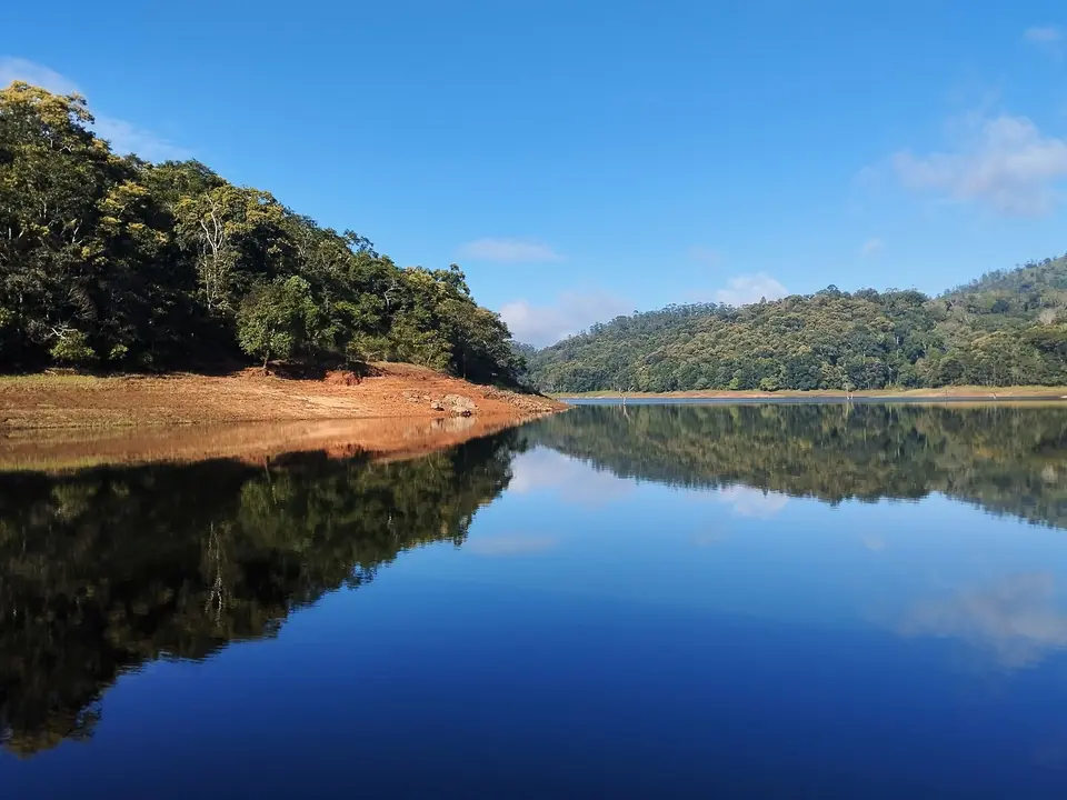 Tranquil view of Periyar Lake with lush forest reflections in Kerala, India